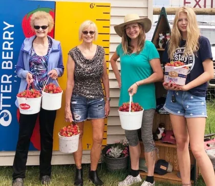 Four women share their strawberry haul at Otter Berry Farm