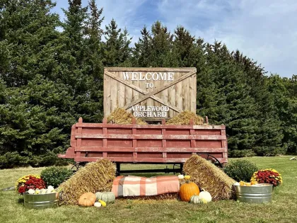 Applewood Orchard