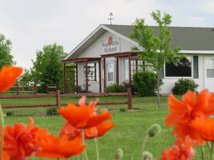 Maple Hills Orchard