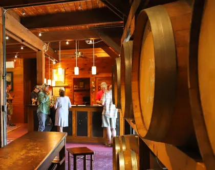 Alexis Bailly Vineyard