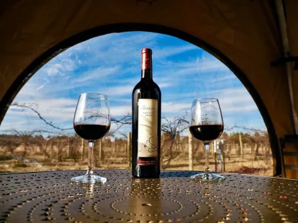 Alexis Bailly Vineyard