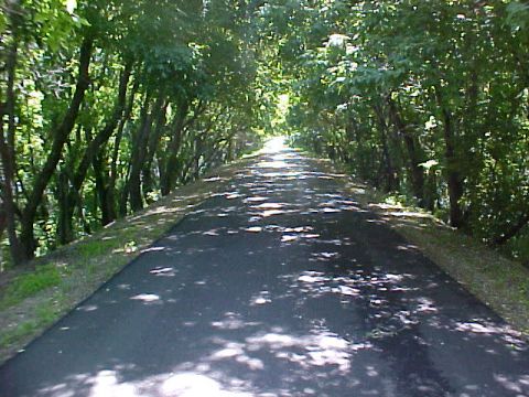 Central Lakes Trail Map Central Lakes State Trail | Explore Minnesota