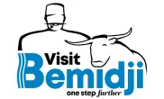 Visit Bemidji logo