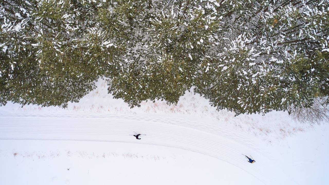 two cross-country skiers in woods from above