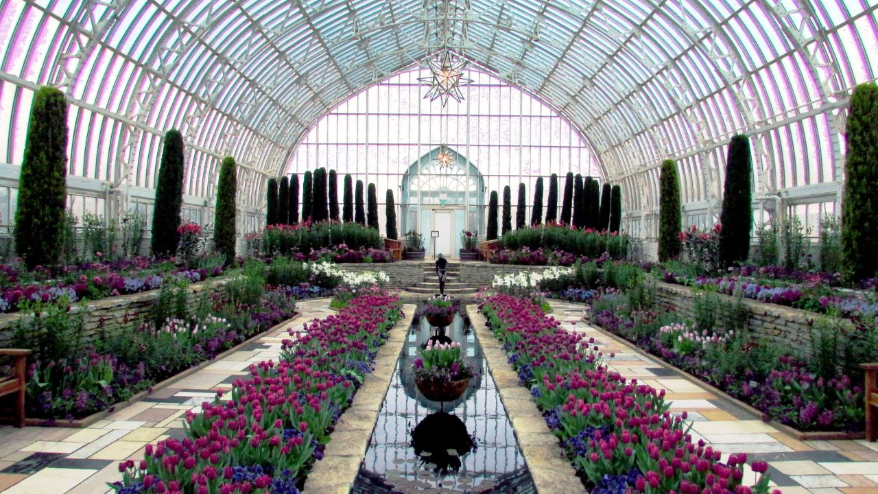 Flores en el Conservatorio Marjorie Mcneely en el Parque Como en St. Paul