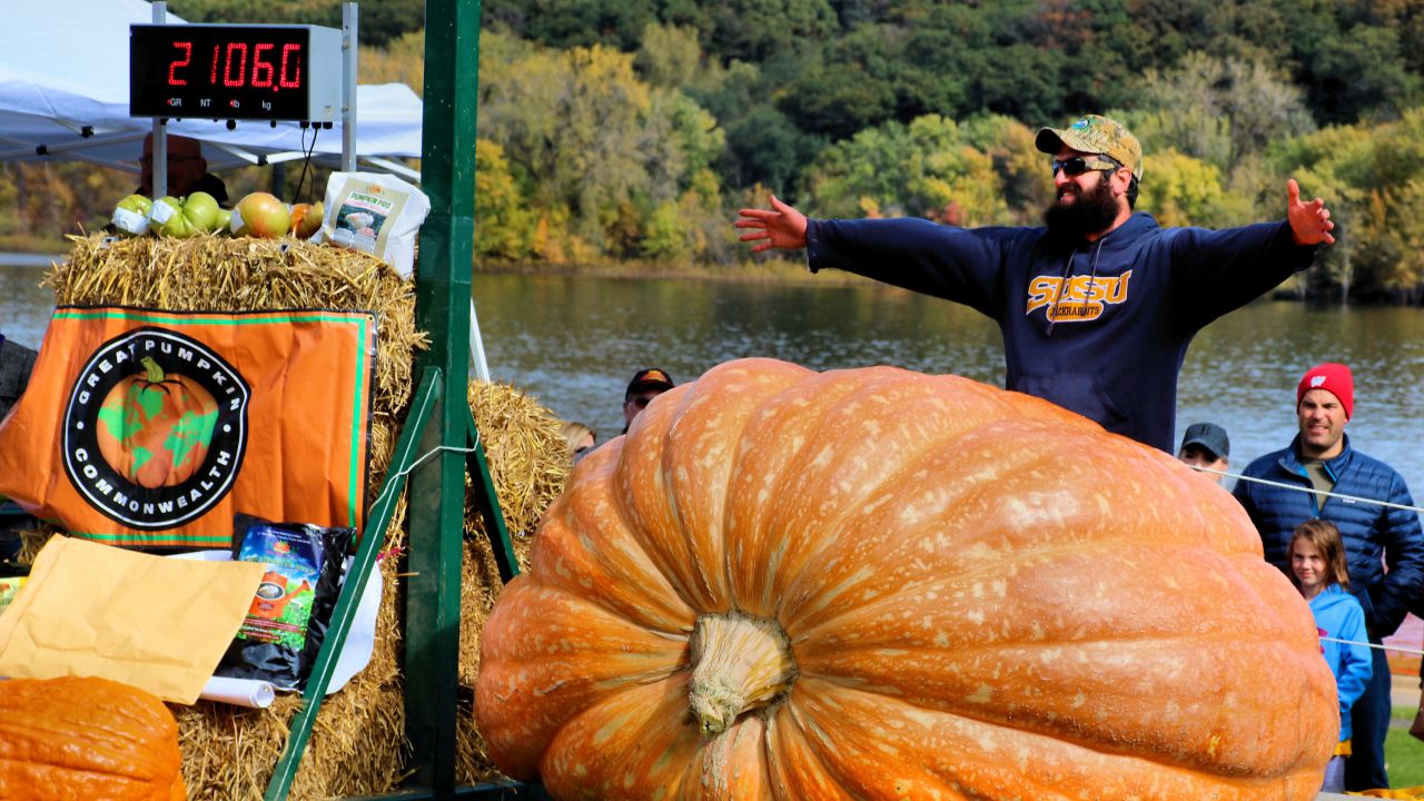 Adivina el peso de la calabaza más grande en el Stillwater Harvest Festival