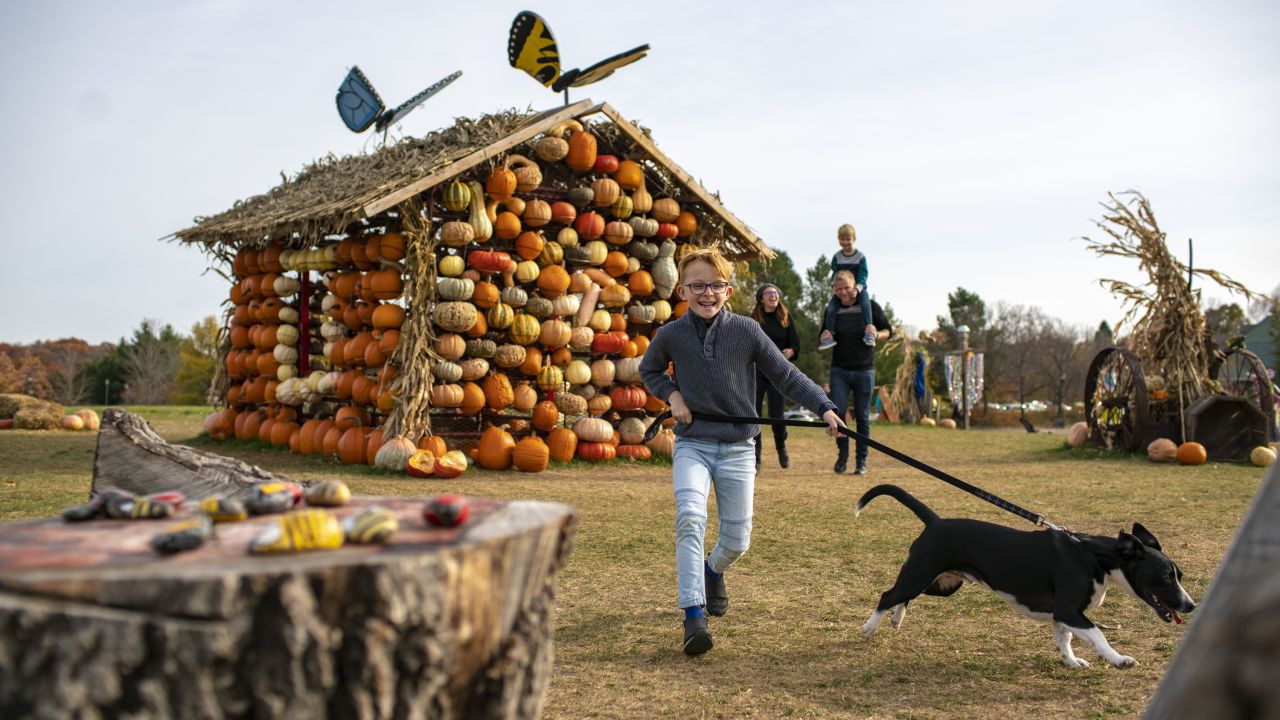 Niño y perro delante de la casa de calabazas
