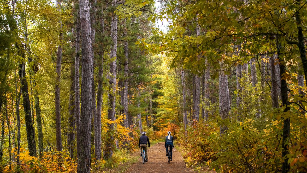 Otoño en bicicleta en el bosque nacional de Chippewa