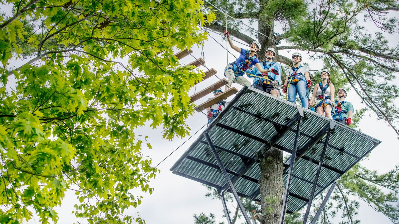 Group on zip line platform