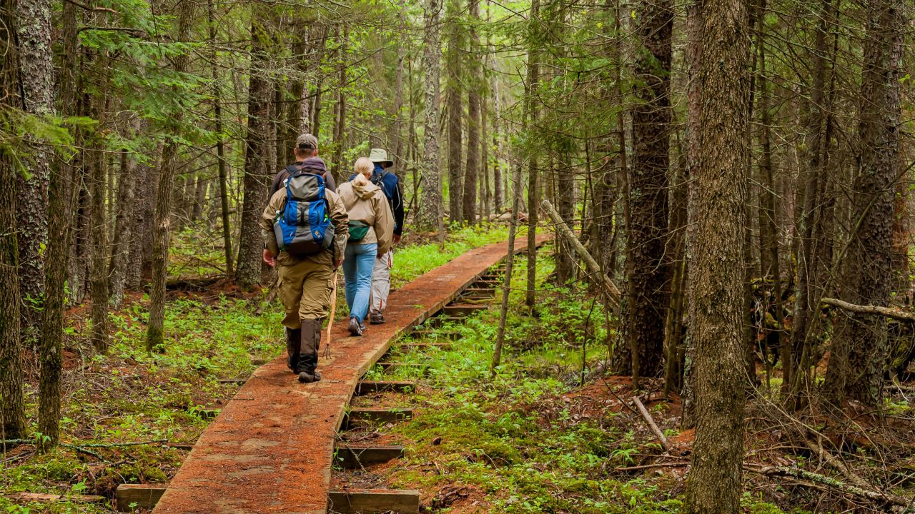 Excursionistas en el North Country National Scenic Trail