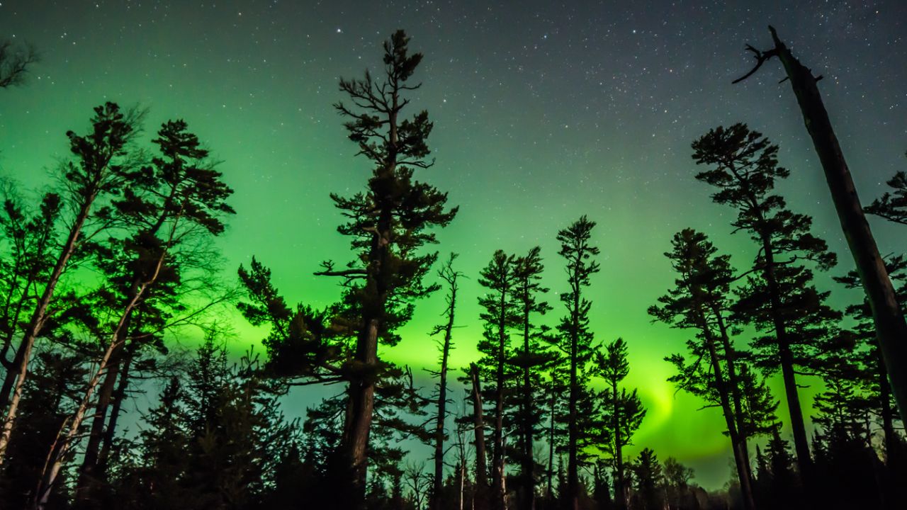 Cielo verde sobre pinos en el sendero Gunflint  