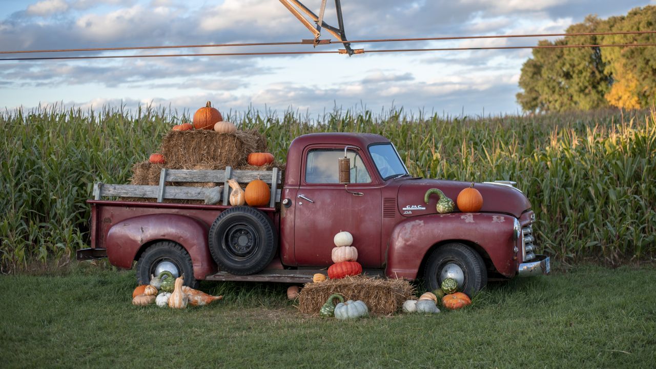 Exhibición de calabazas en camión antiguo