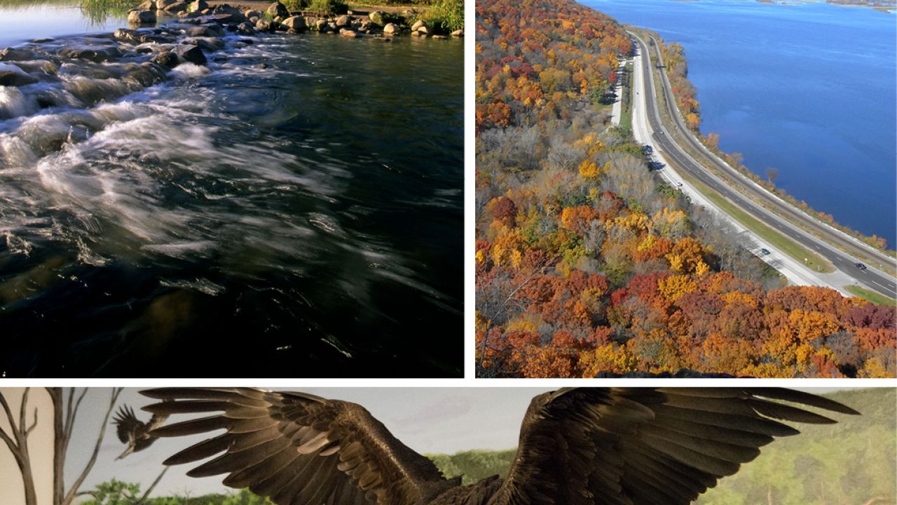 En fotokollasje av Lake Itasca, antenne fra Great River Road i Winona, og ansatte med en Bald Eagle ved National Eagle Center i Wabasha