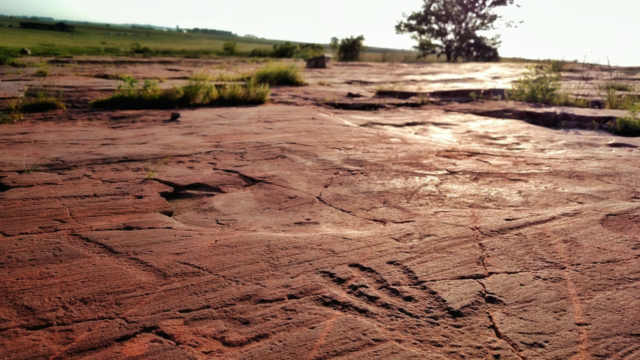Jeffers Petroglyphs in Comfrey