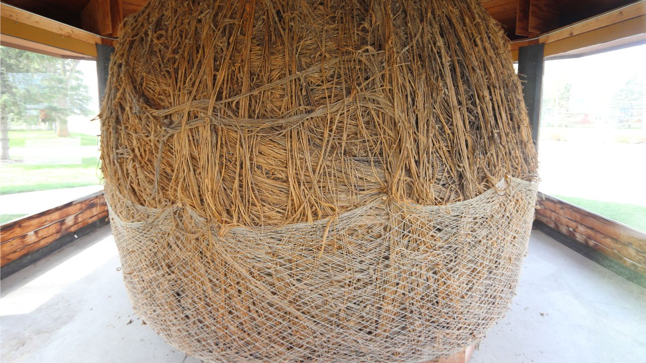 La bola de cordel más grande de Minnesota