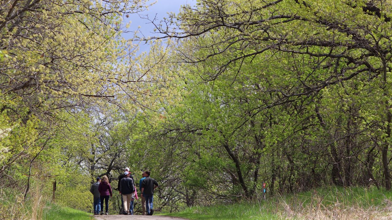 Parque Estatal Myer Big Island