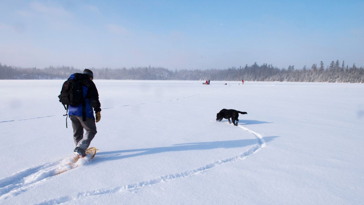 Caminata de nieve con perro Round Lake Gunflint Trail