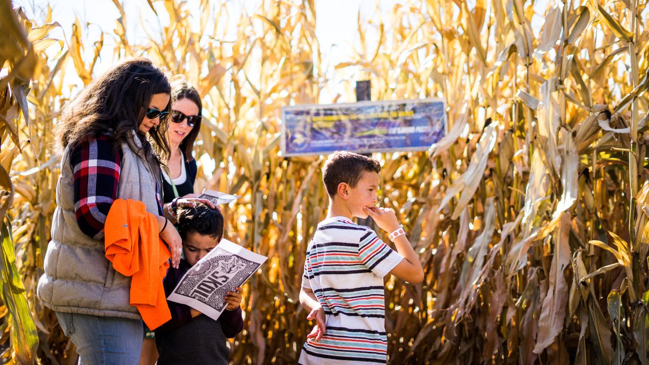 Family in corn maze