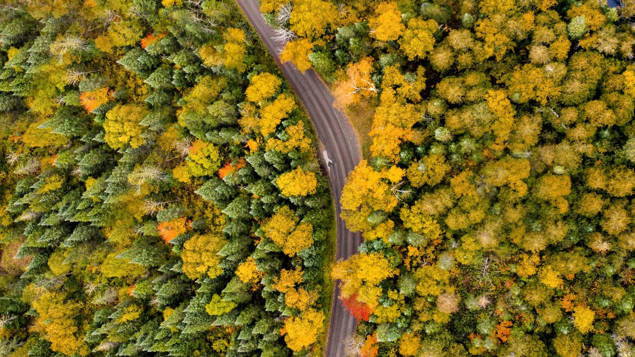 North Shore fall colors drive