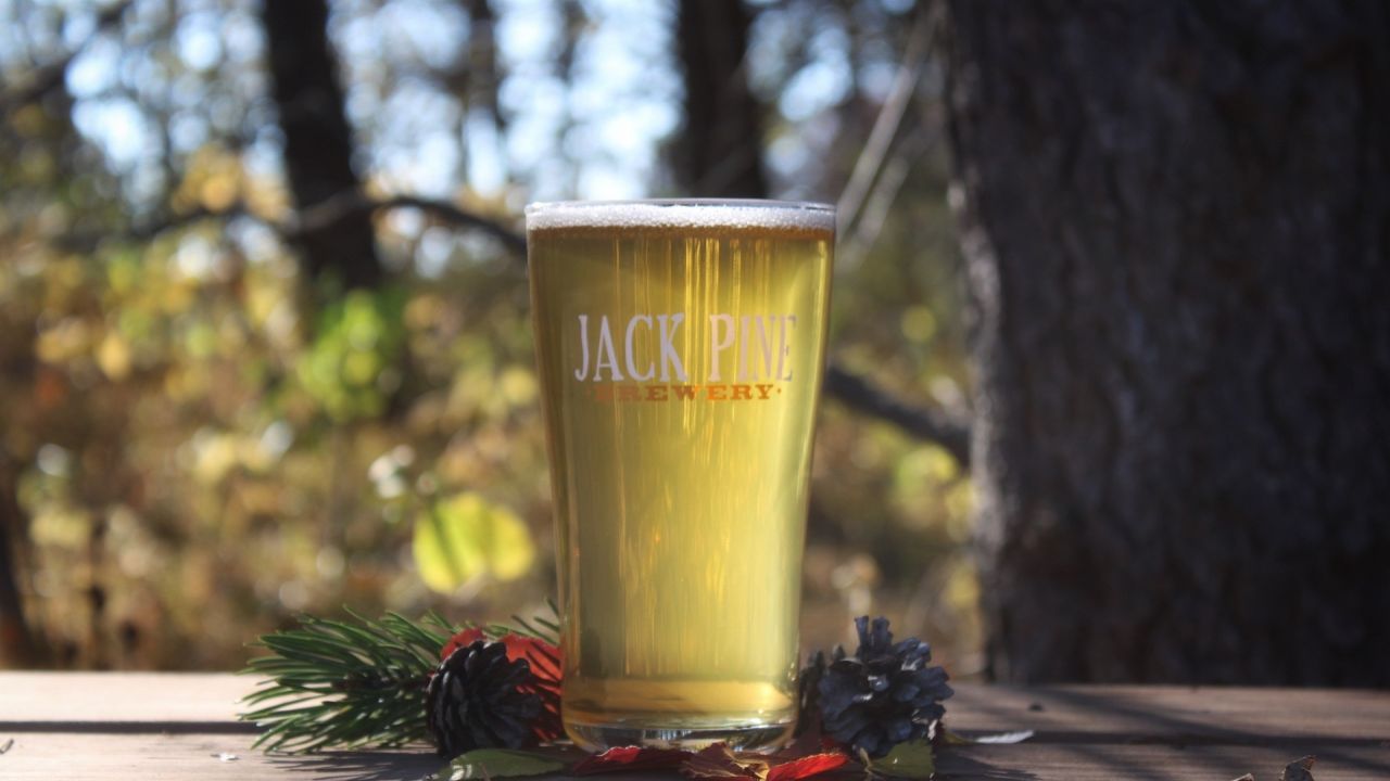 Jack Pine Brewery's Dead Branch cream ale