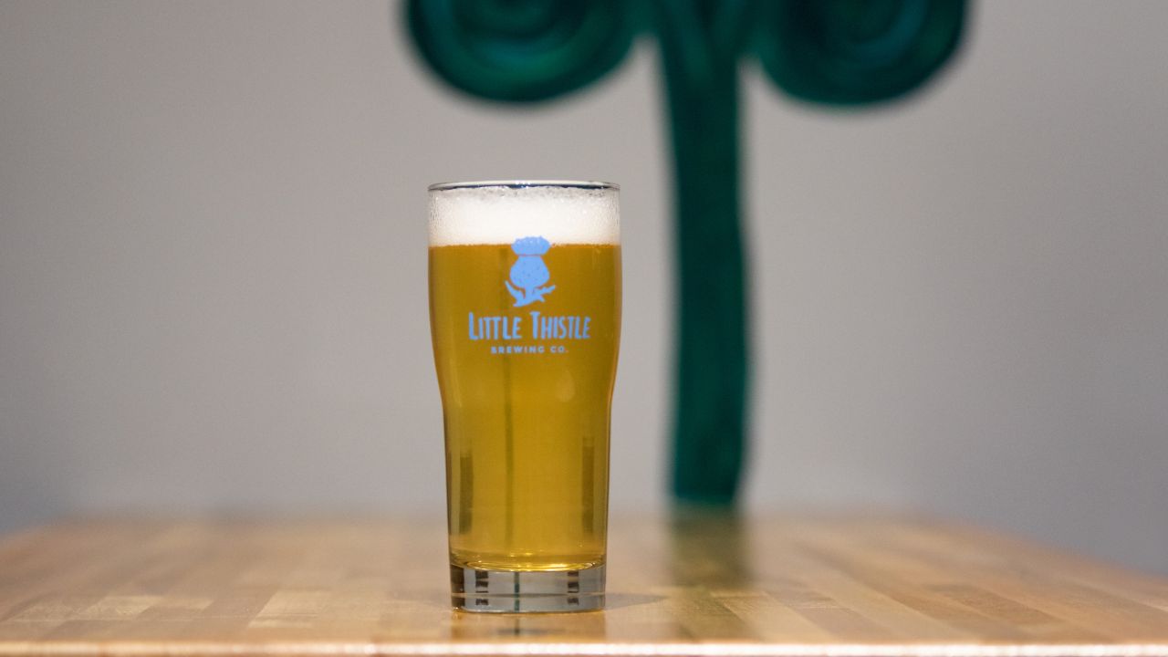 Little Thistle's nonalcoholic cream ale