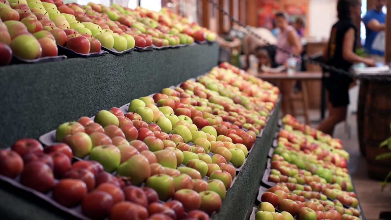 Minnesota Apples at the State Fair's Agriculture Horticulture Building