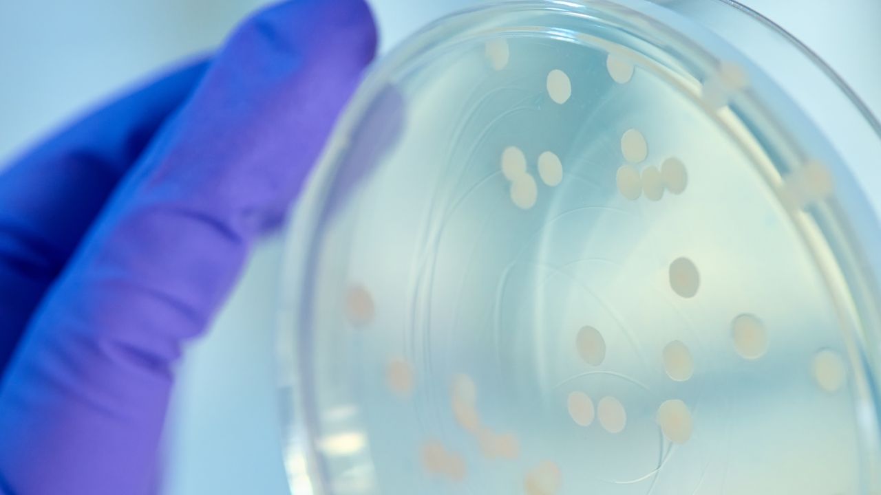 Microbiologics lab in St. Cloud