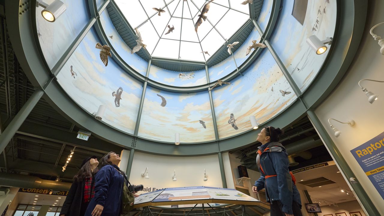 The National Eagle Center in Wabasha