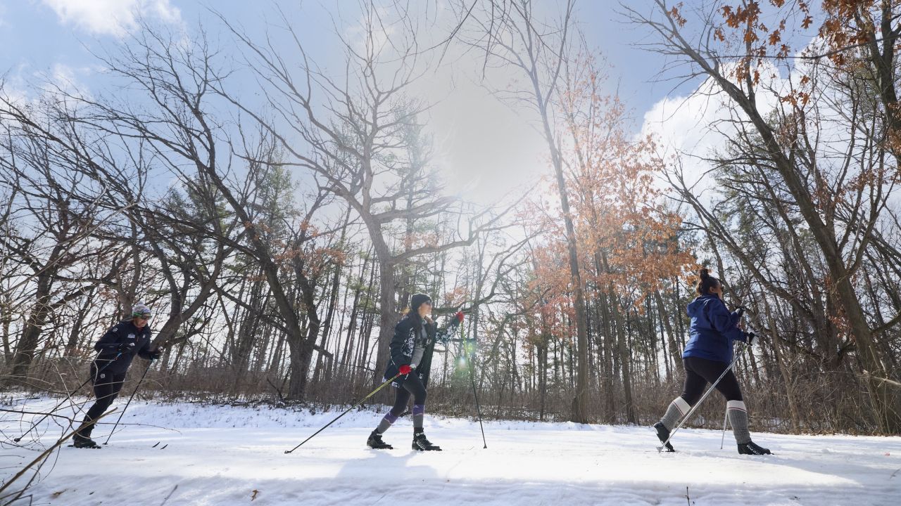 A group of friends ski at Theodore Wirth Regional Park