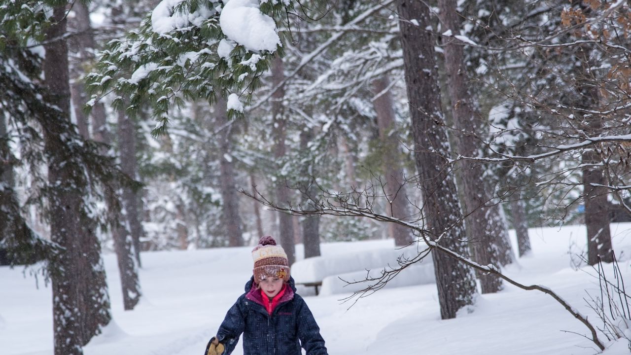 Cross-country skiing at Itasca State Park