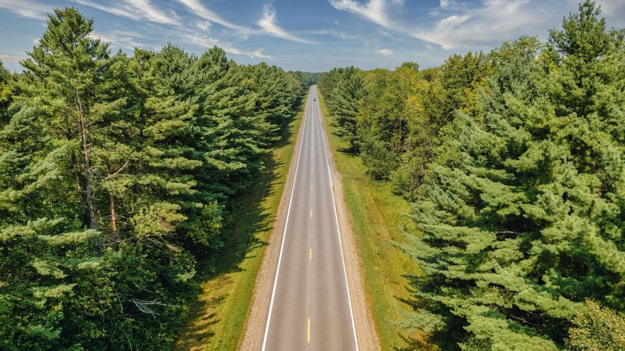 Avenue of Pines Scenic Byway
