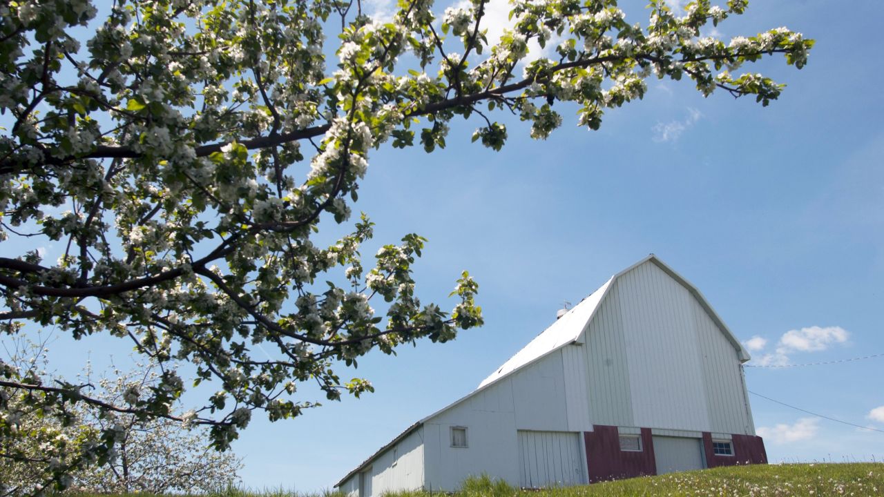 Apple Blossom Drive Scenic Byway
