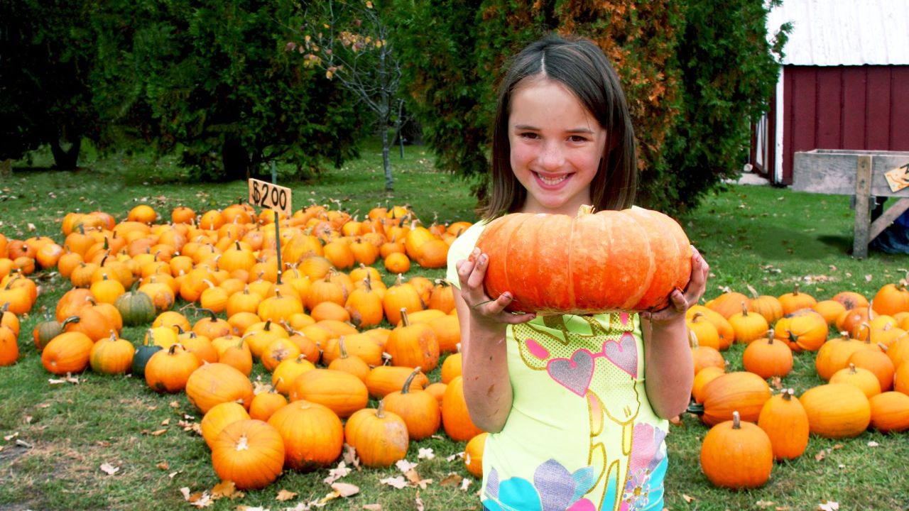 Thea's Pumpkin Patch
