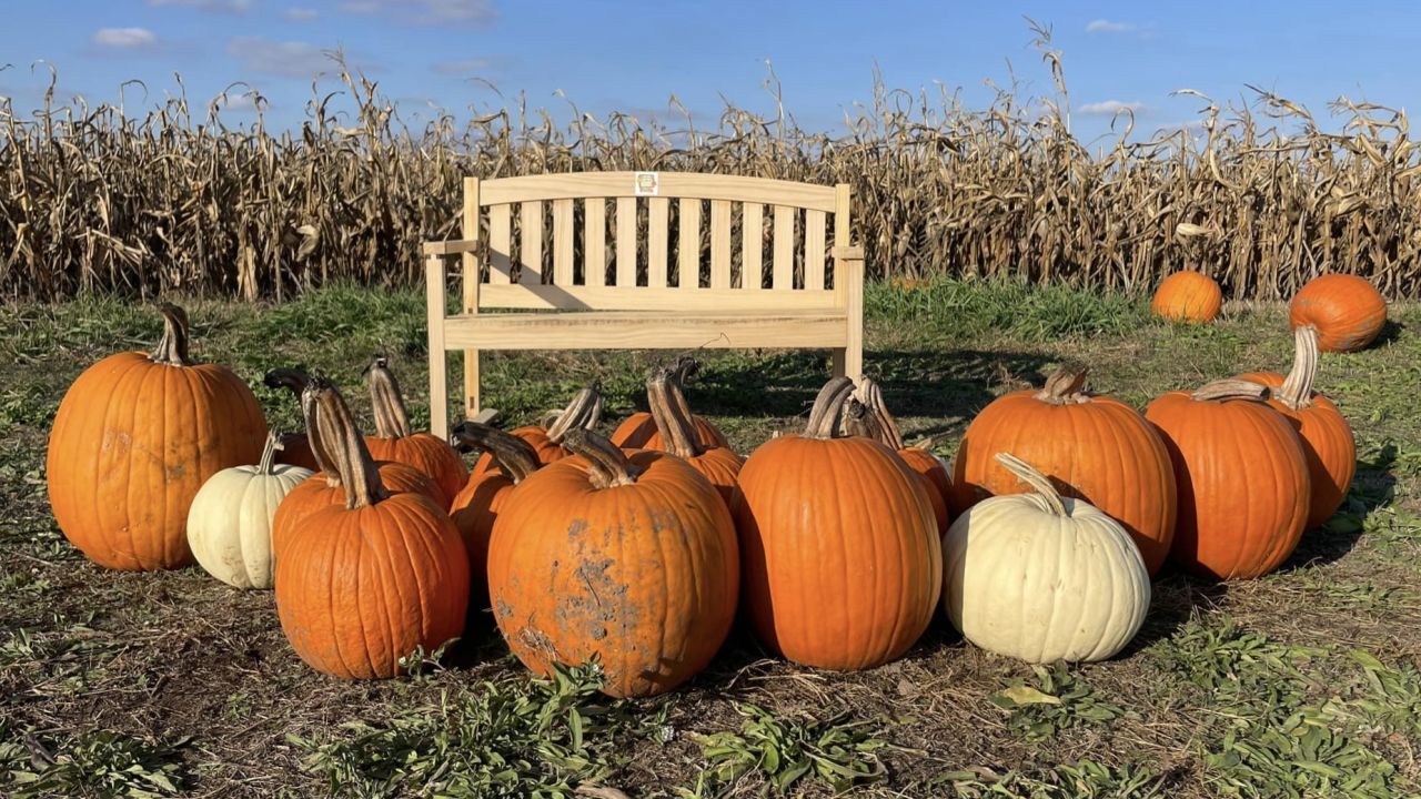 A&amp;G Produce's corn maze