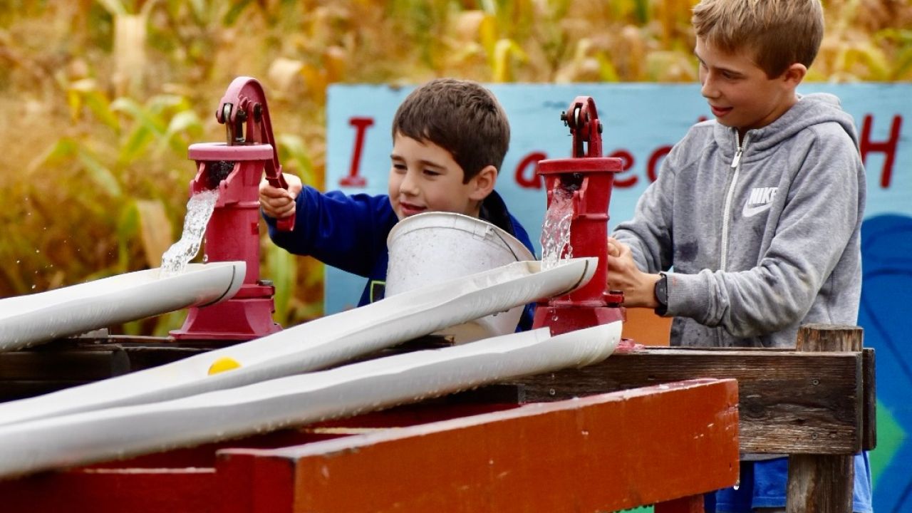 Carters' Farm