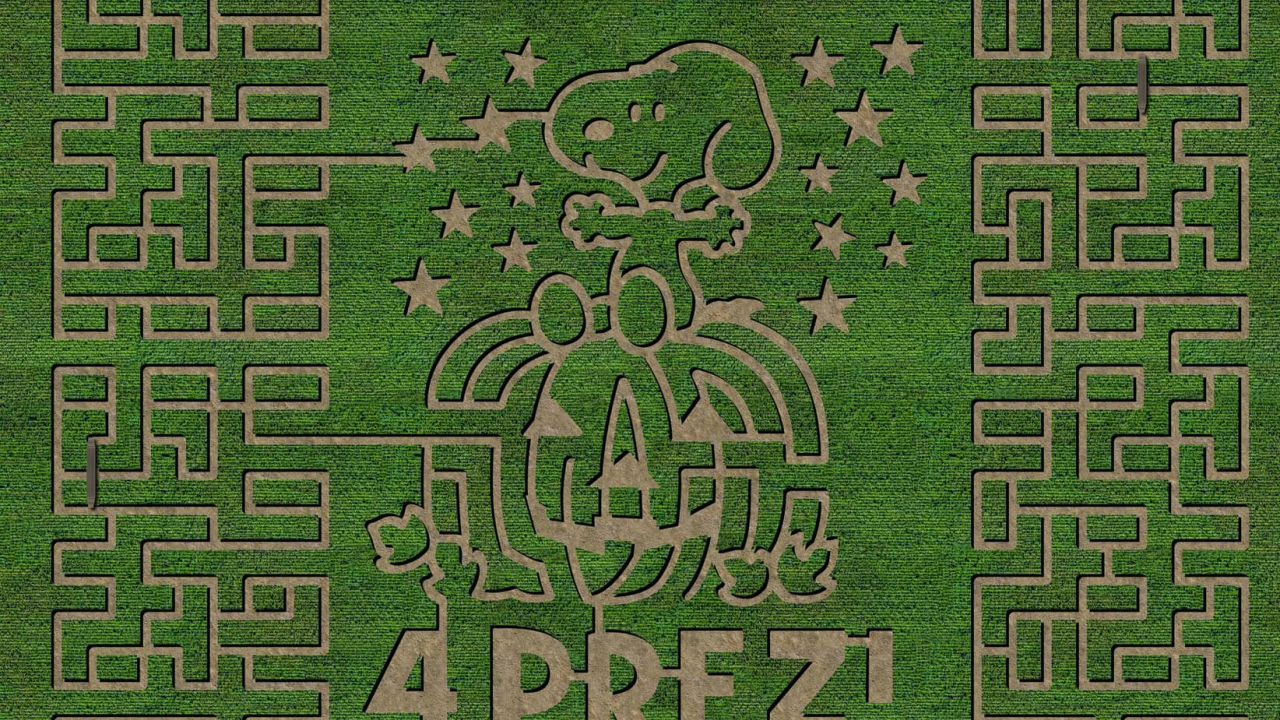 Valley Corn Maize's 2024 design
