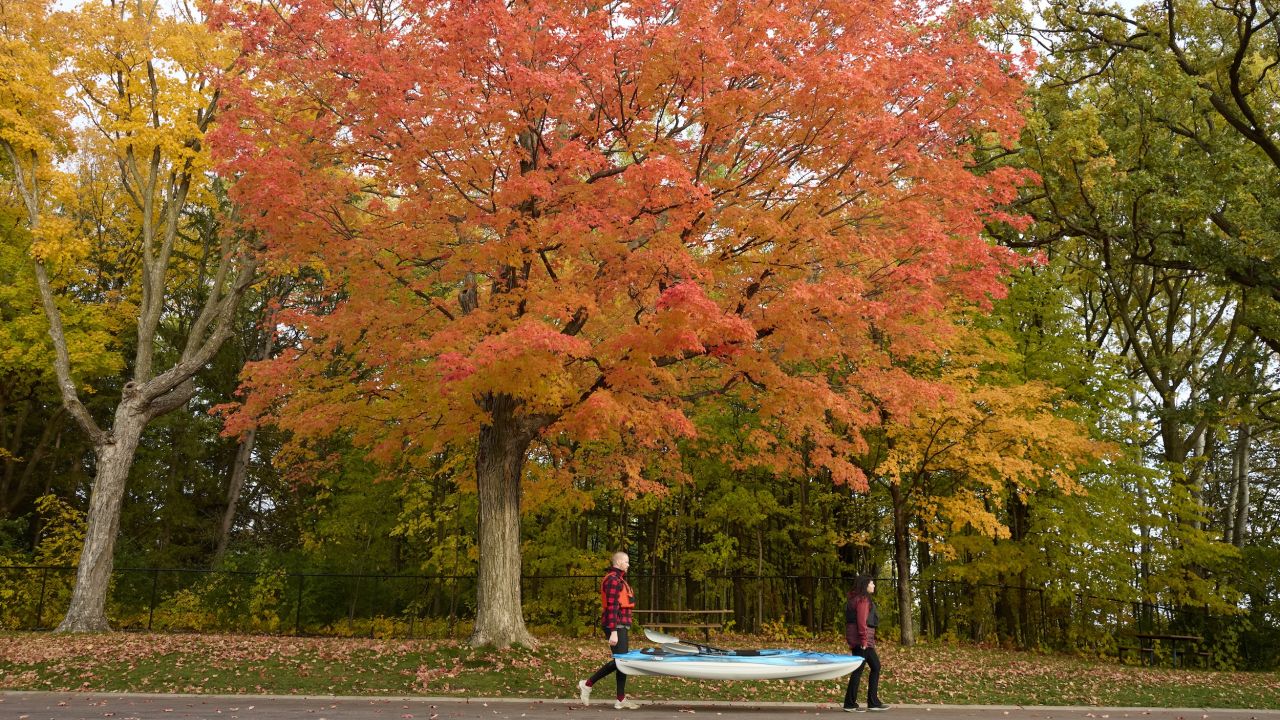 Kat &amp; Josh carry their kayaks near Medicine Lake in Plymouth