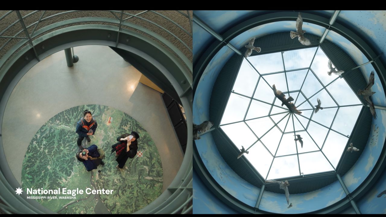 Star of the North Itinerary: National Eagle Center screenshot