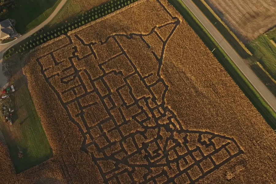 Corn maze at Rock River Pumpkin Festival in Edgerton