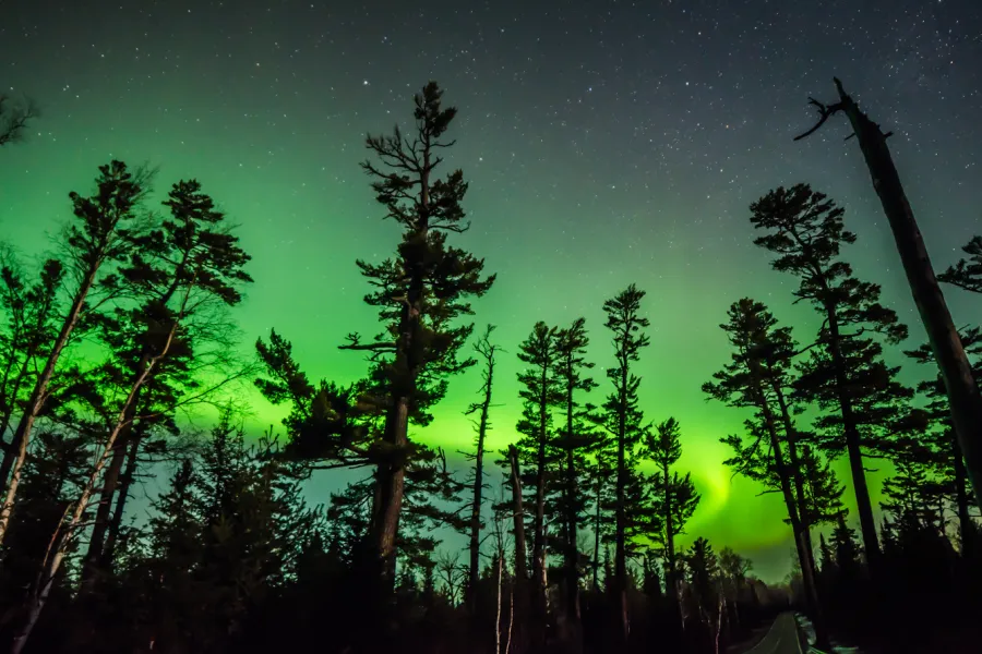 Green sky over pine trees on the Gunflint Trail