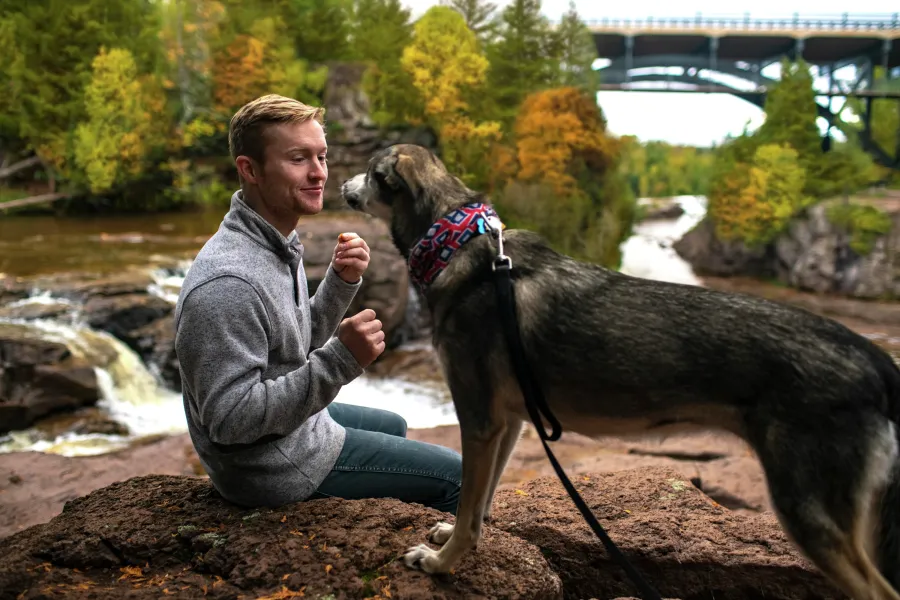 Man and dog at Gooseberry Falls State Park