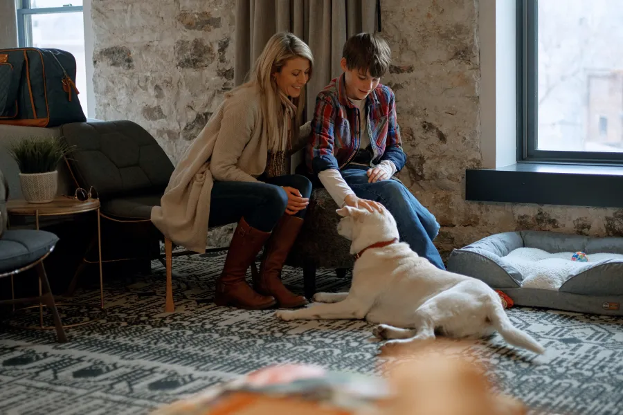 Minnesota's Best Pet-Friendly Places to Stay 