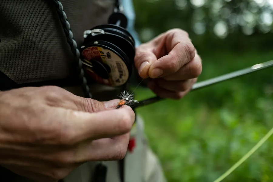 Fly fishing on Root River 