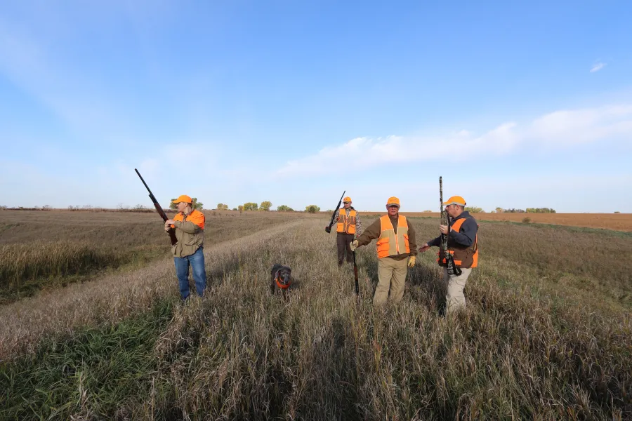 Pheasant hunters with a tracking dog 
