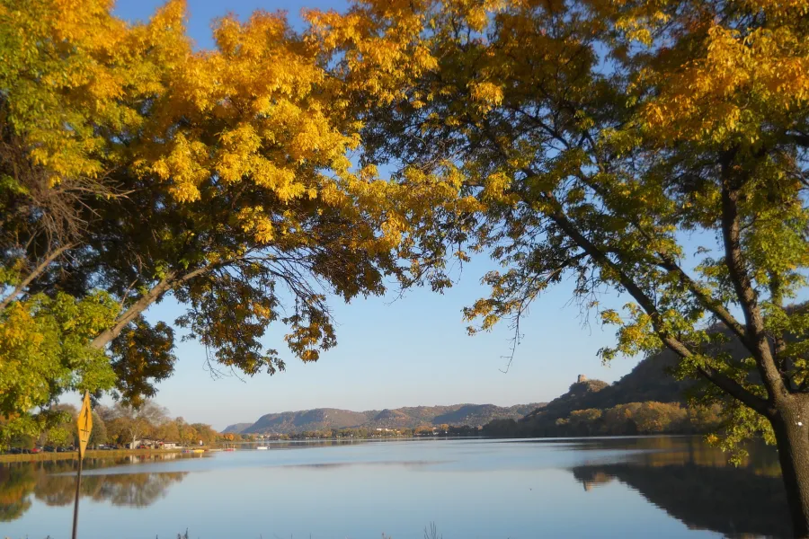 Fall colors along the Sugar Loaf bluff in Winona 