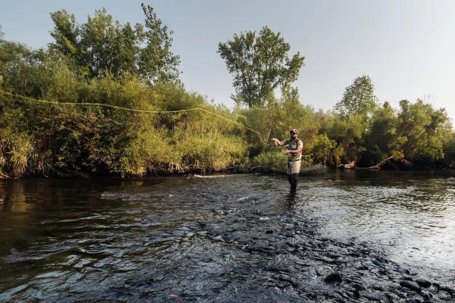 Fly fishing on Vermilion River 