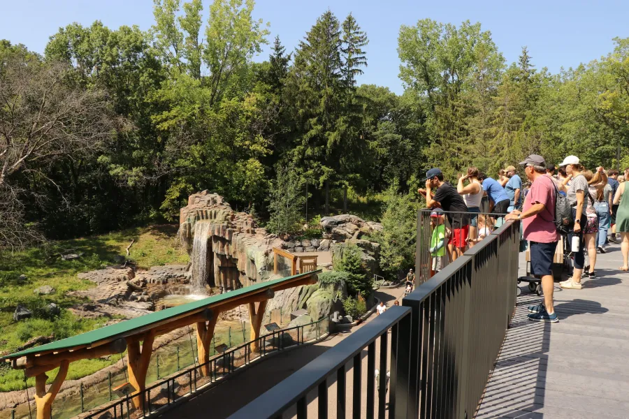 Minnesota Zoo's Treetop Trail 