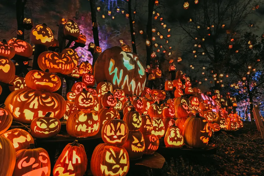 Jack-O-Lantern Spectacular at the Minnesota Zoo