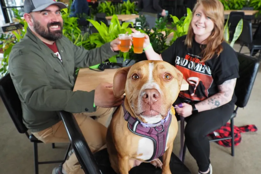 A couple sits with their dog at Wandering Leaf Brewing Company 