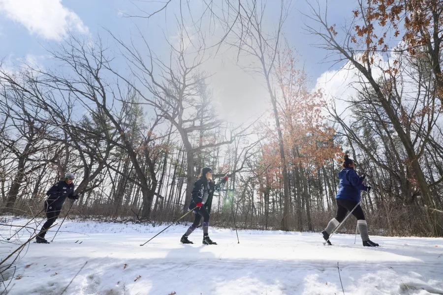 A group of friends ski at Theodore Wirth Regional Park 